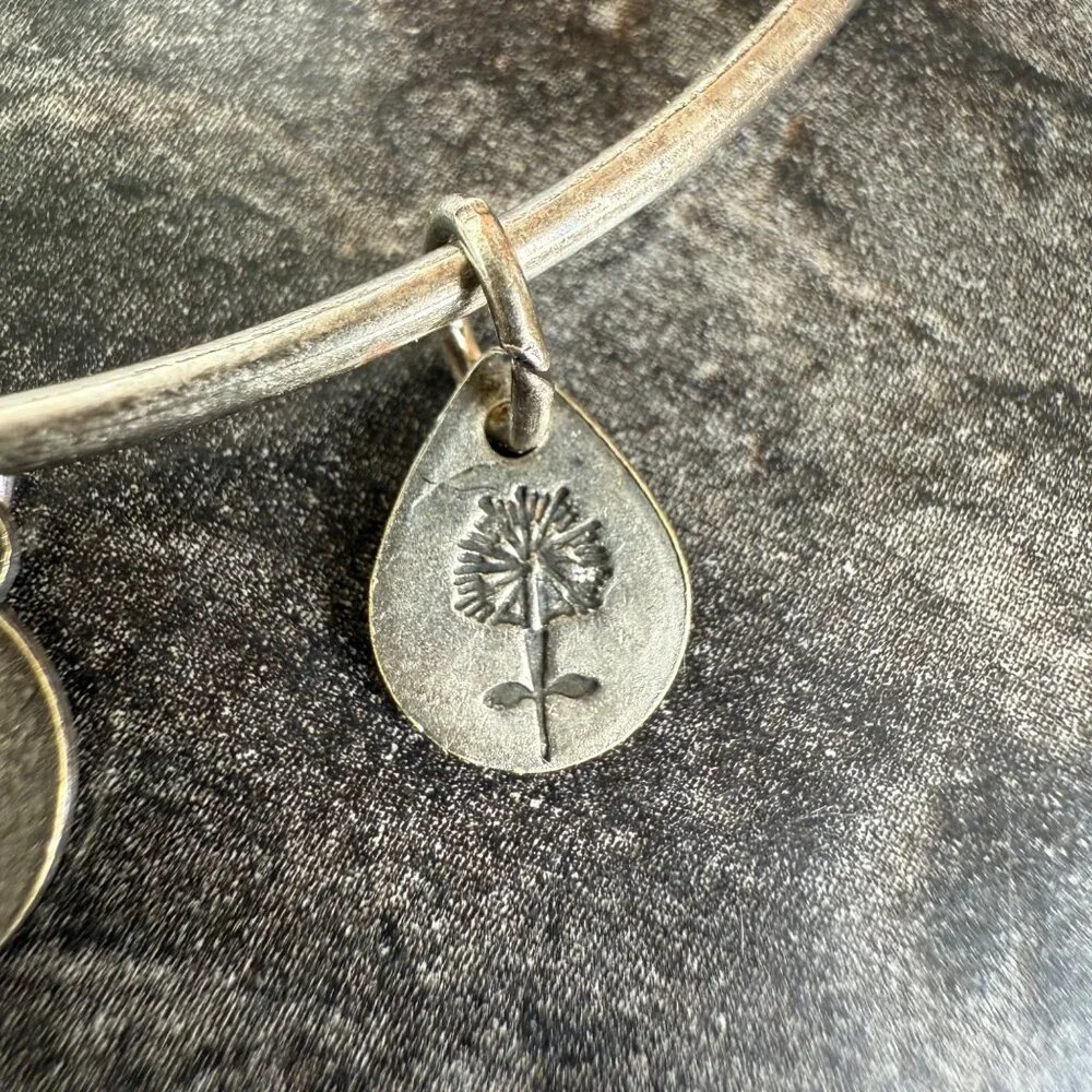 Alex and Ani Apple Charm Bracelet Silver Nature Expandable Bangle - Picture 8 of 14